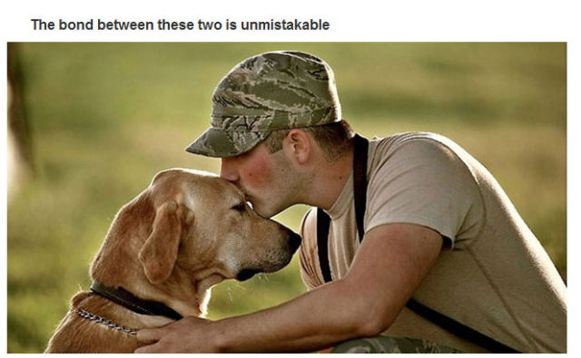 therapy_dogs_are_four_legged_miracle_workers_640_12