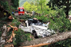 倒木で大破した「トヨタ２０００ＧＴ」＝原告代理人提供