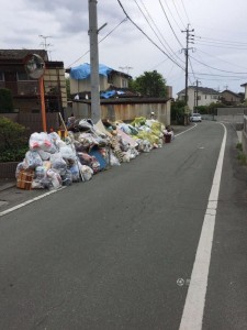 きちんとしたゴミ出し